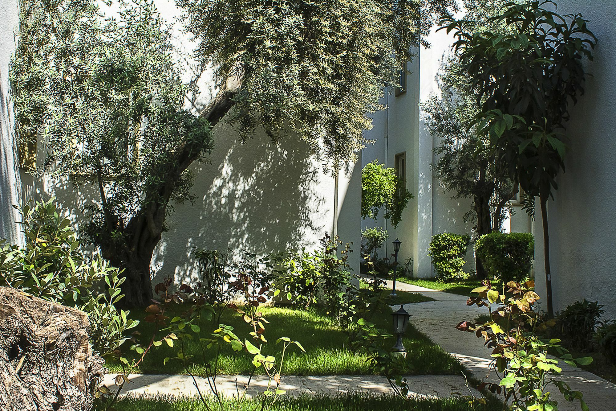 Hotel Princess Diltua Bodrum Exterior foto